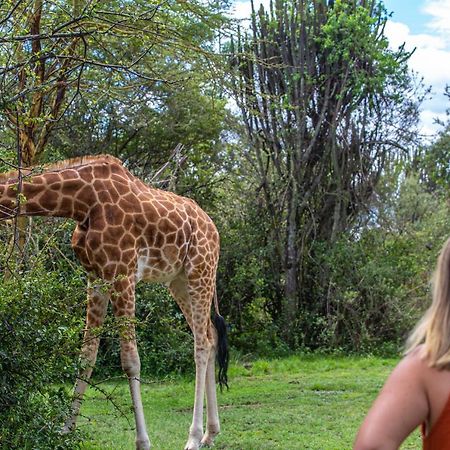 Mbweha Camp Lake Nakuru Elmenteita 외부 사진