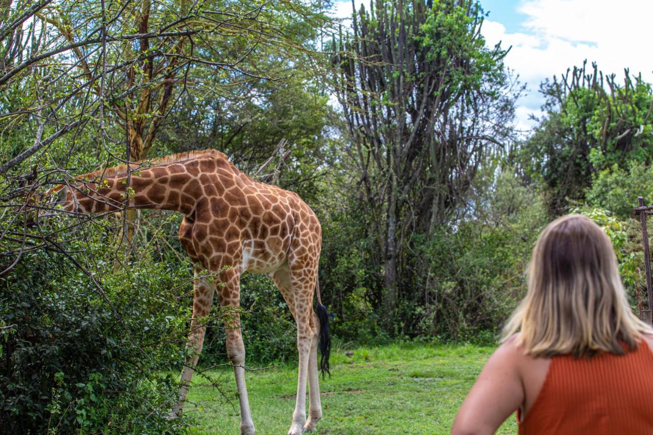 Mbweha Camp Lake Nakuru Elmenteita 외부 사진
