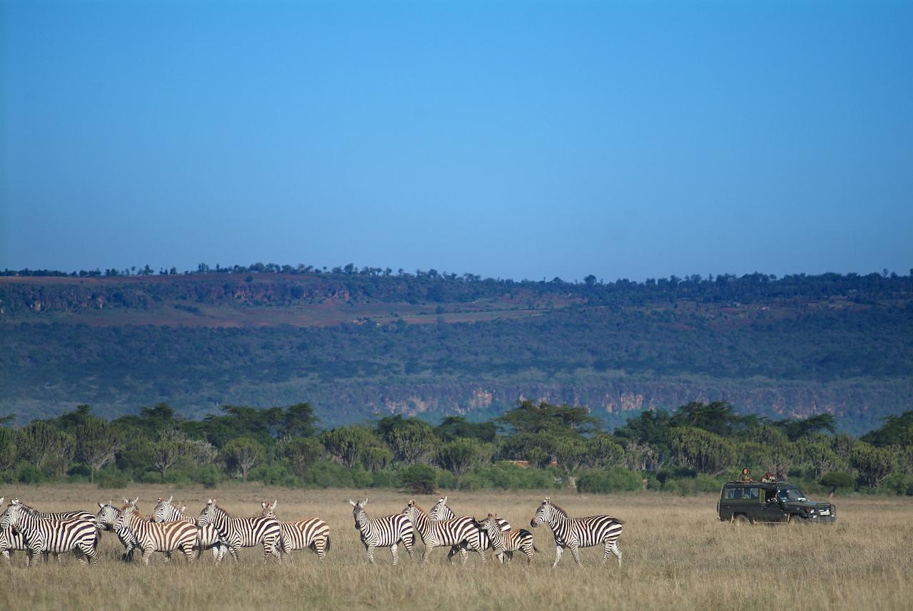 Mbweha Camp Lake Nakuru Elmenteita 외부 사진