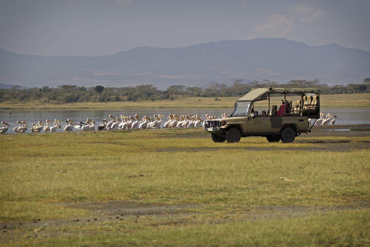 Mbweha Camp Lake Nakuru Elmenteita 외부 사진